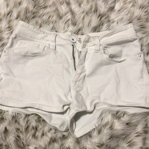 White Bullhead Shorts